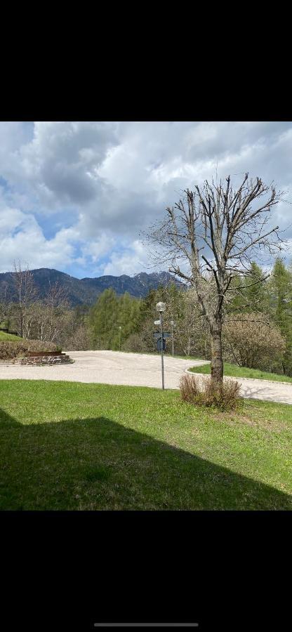 Casa Gilda Val Di Fiemme - Dolomiti Leilighet Cavalese Eksteriør bilde